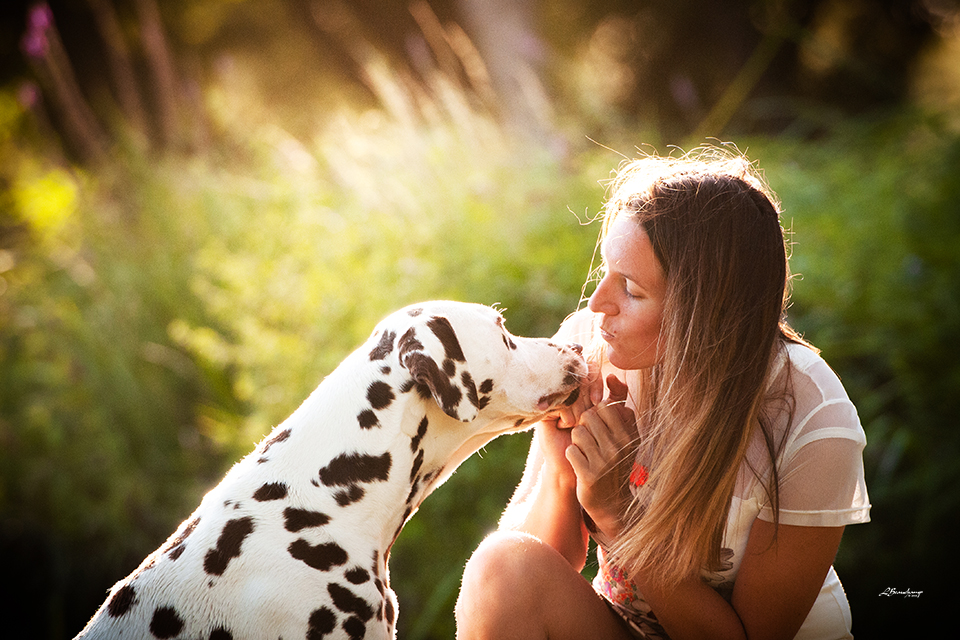 Alphadirato Lion Heart