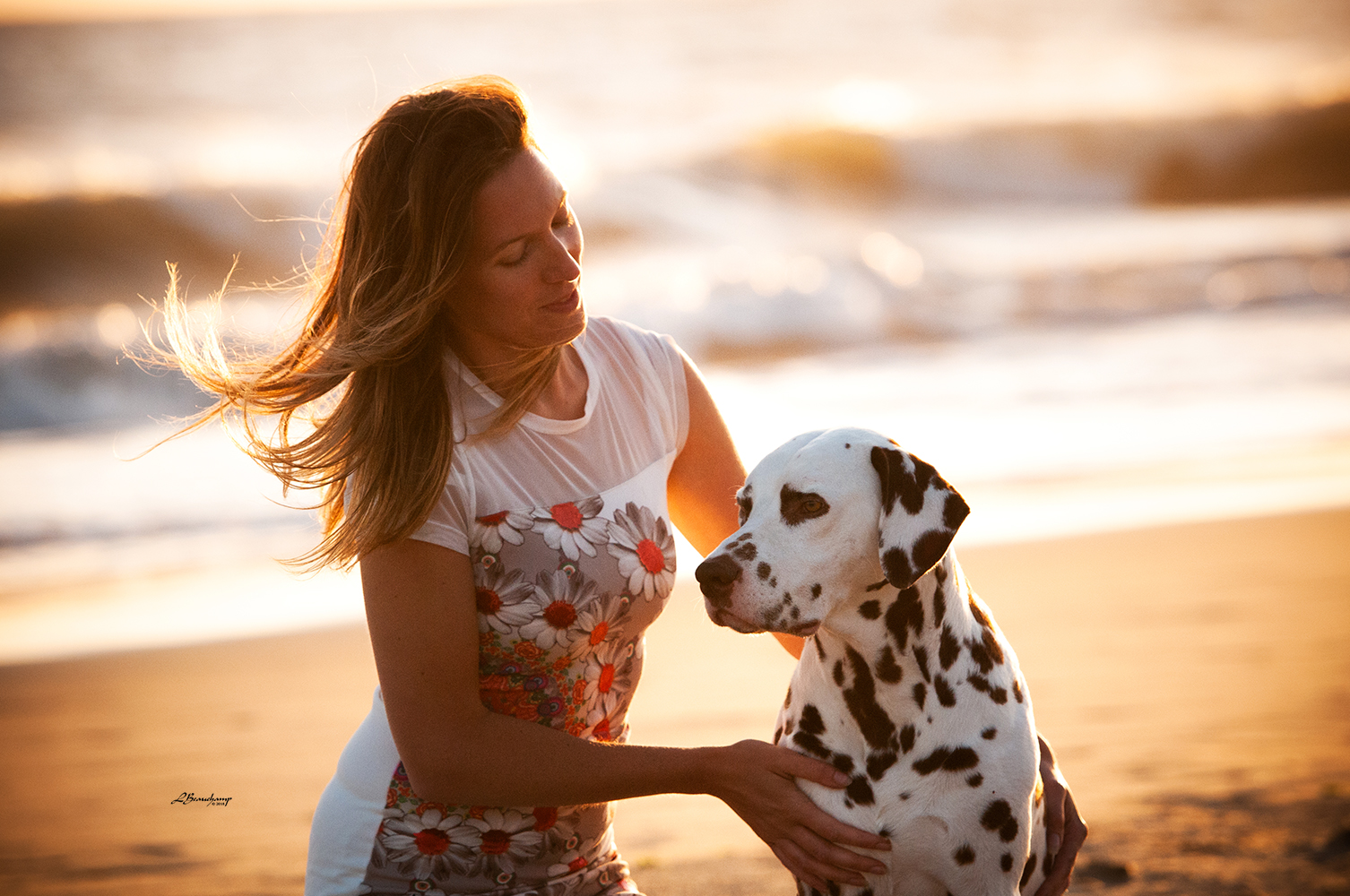 Alphadirato Lion Heart